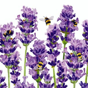 Napkin/Beverage - "Bees & Lavender" - Pkg of 20, 3-Ply Paper Paperproducts Design